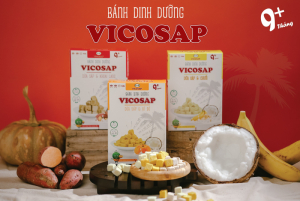 BÁNH DINH DƯỠNG VICOSAP - BÁNH ĂN DẶM DÀNH CHO BÉ YÊU NHÀ BẠN