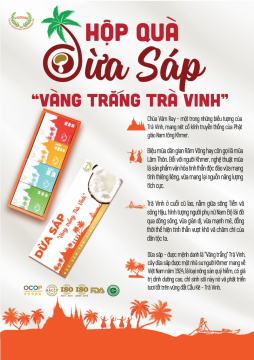 BẠN ƠI! TẾT NÀY, VICOSAP CÓ