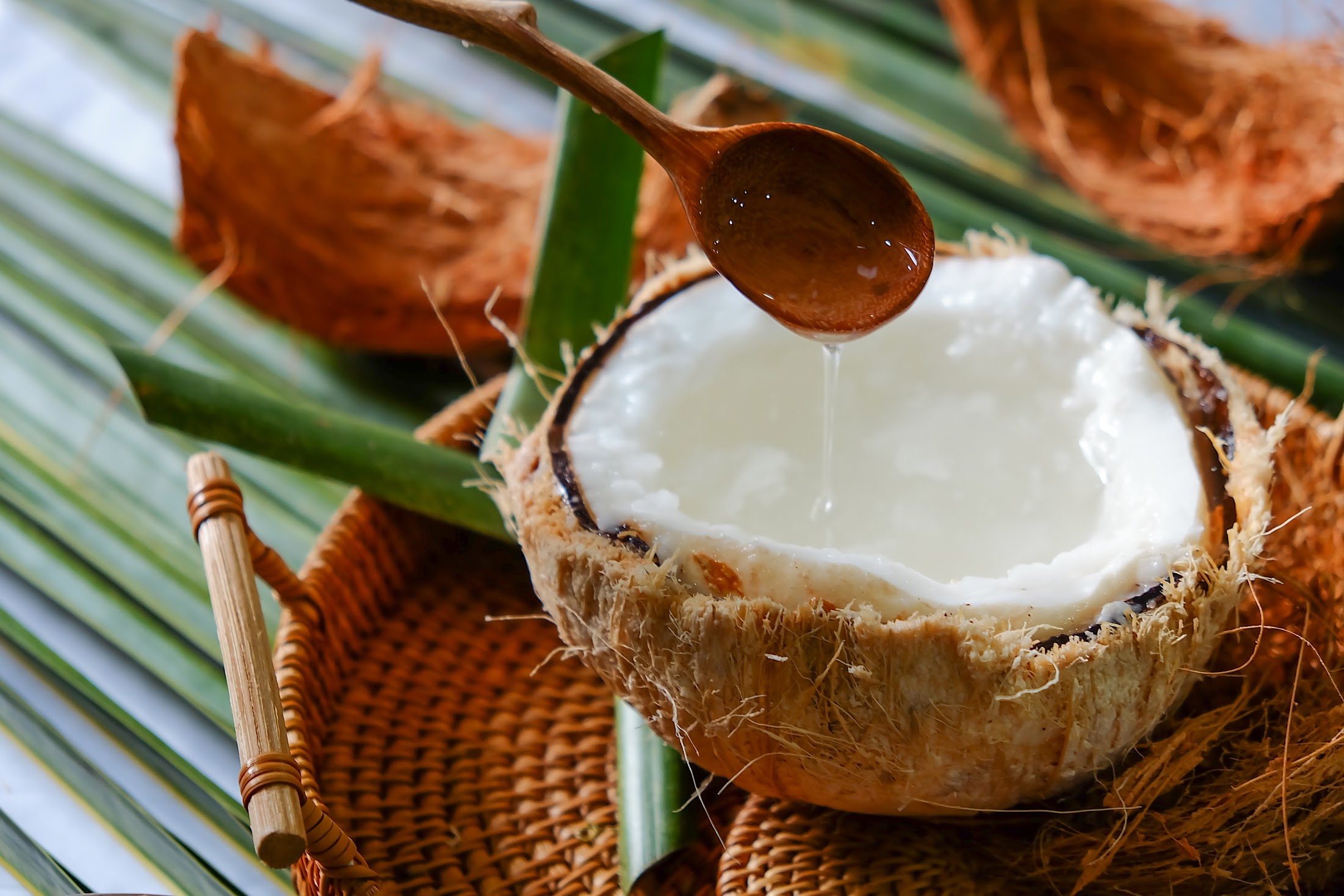 Tất tần tật về Dừa Sáp