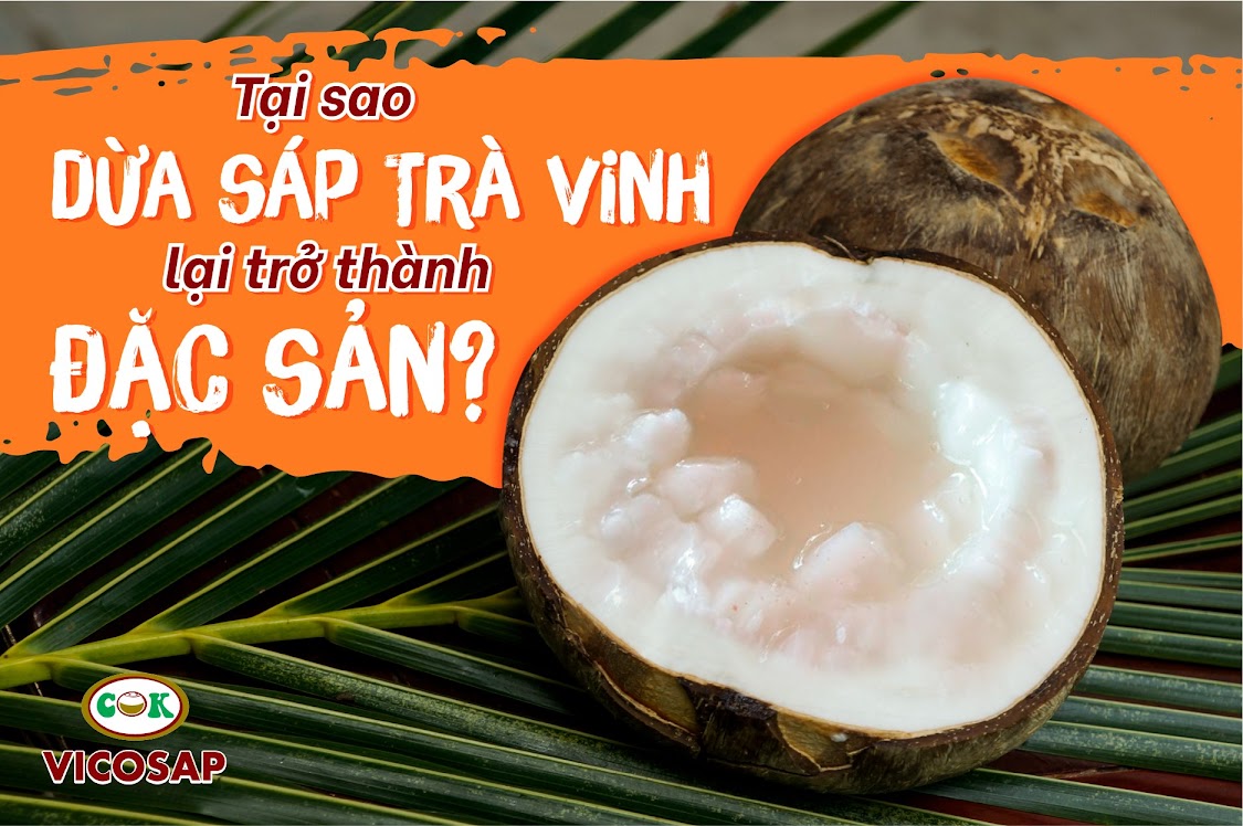 Cây Dừa Sáp là đặc sản ở đâu? Khám phá đặc sản độc đáo của Việt Nam